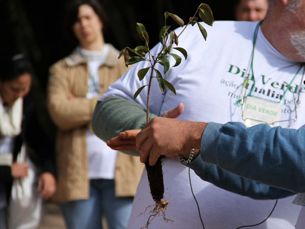 Responsabilidade ambiental